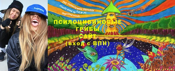 гидропоника Касимов