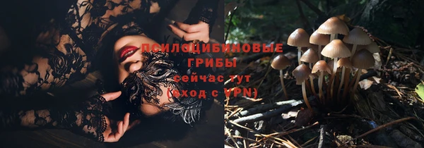амфетамин Каменка