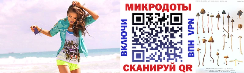 Галлюциногенные грибы GOLDEN TEACHER  OMG зеркало  Козловка 